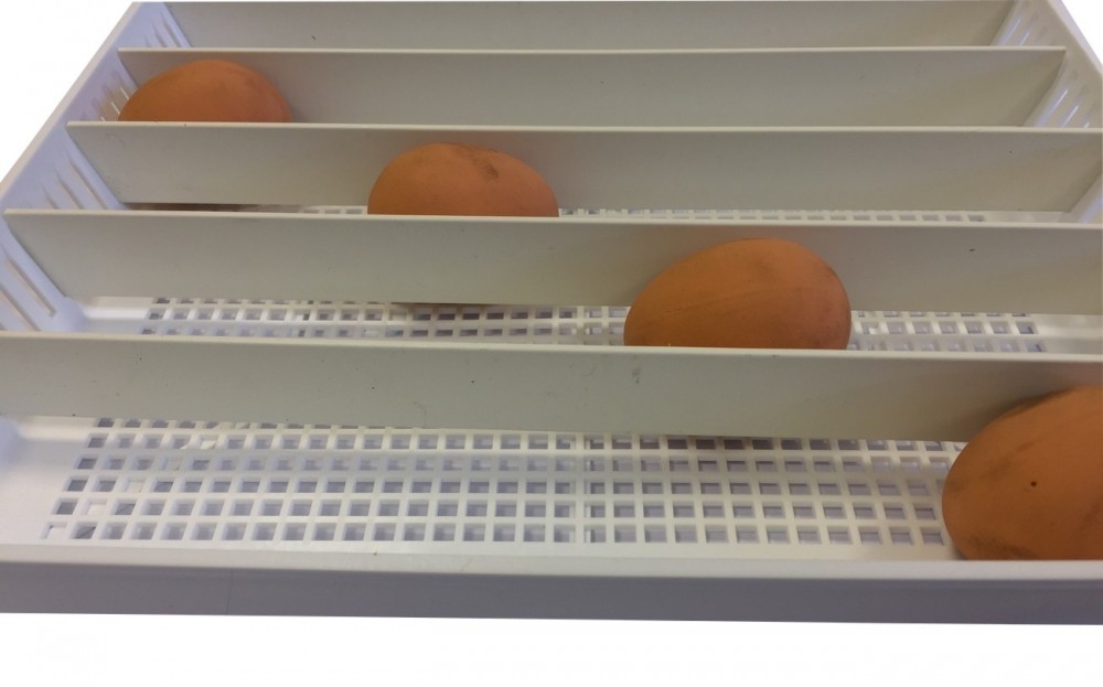 Ova-Easy Incubators Universal Egg Tray